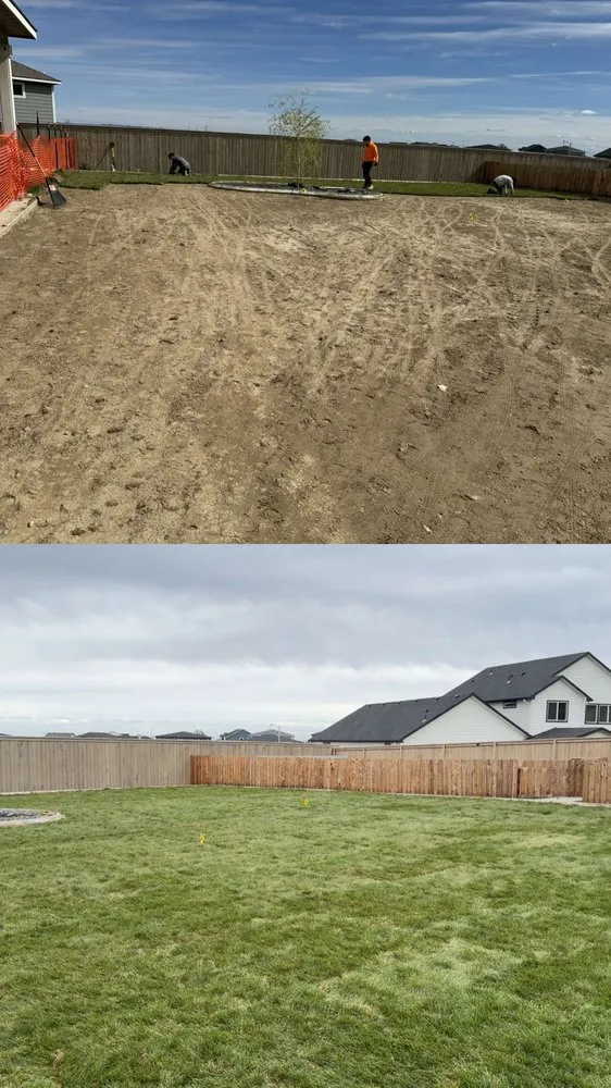Local yard maintenance in Pasco, WA by Alameer Landscpaing
