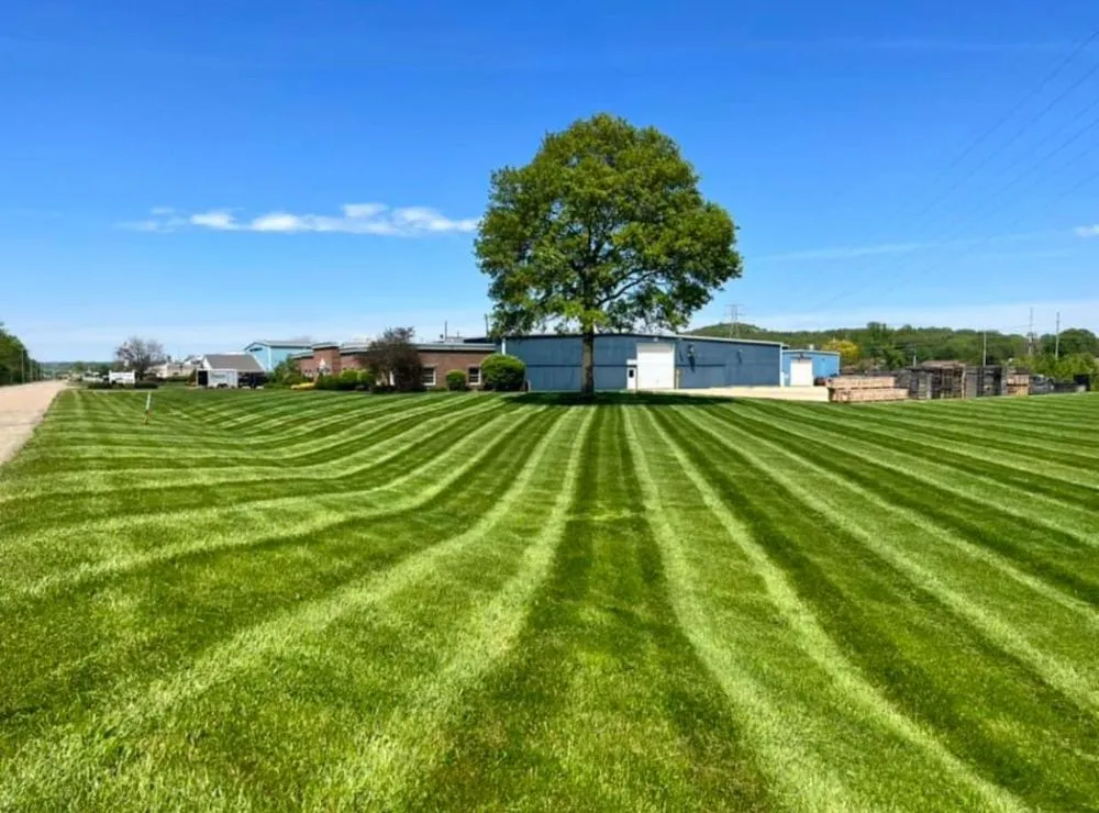 Reliable lawn mowing service experts serving Pasco, WA - Alameer Landscpaing