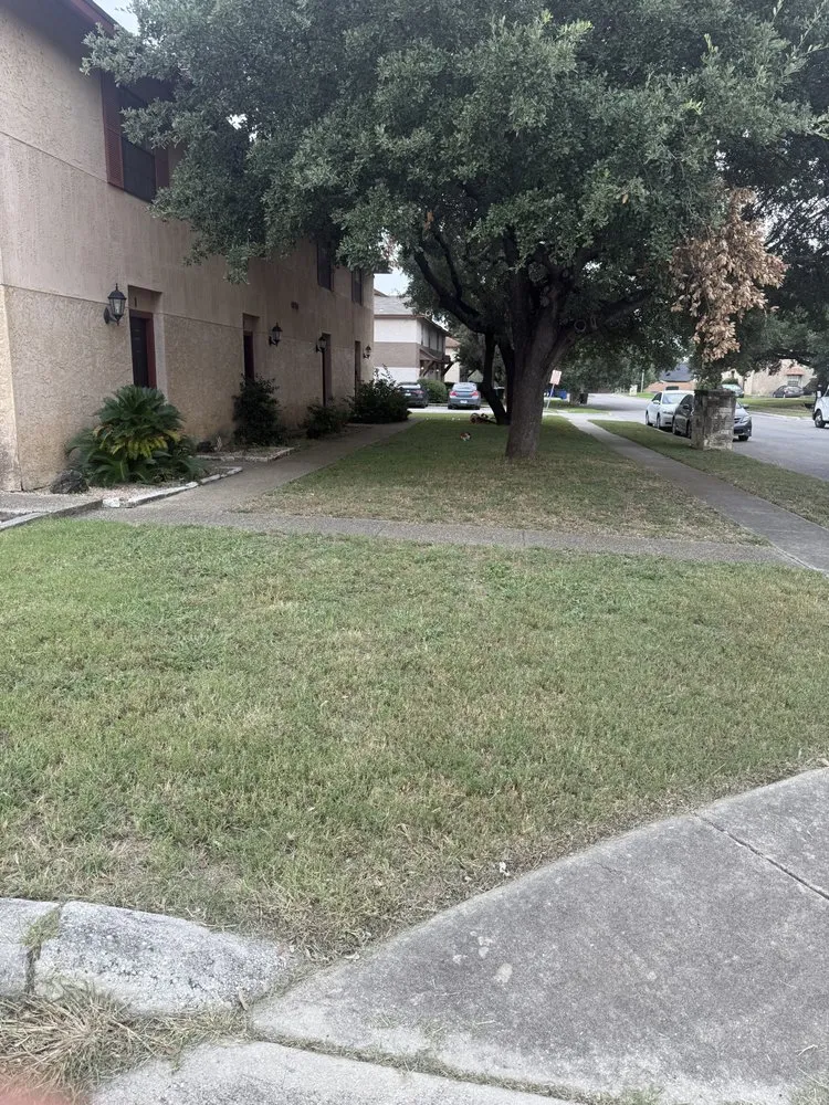 Top-rated landscape installation with custom design in San Antonio, TX by Alamo City Landscaping & Lawn services