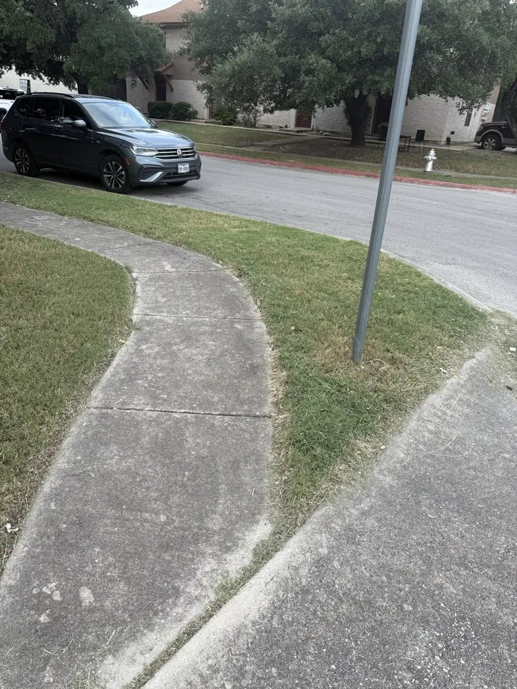 Reliable yard cleanup service in San Antonio, TX by Alamo City Landscaping & Lawn services