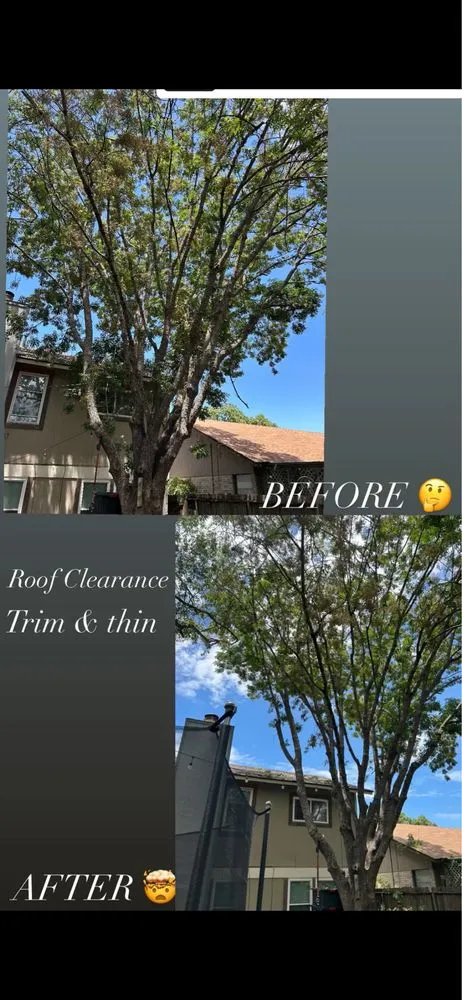 Reliable landscaping services in San Antonio, TX by Alamo City Landscaping & Lawn services