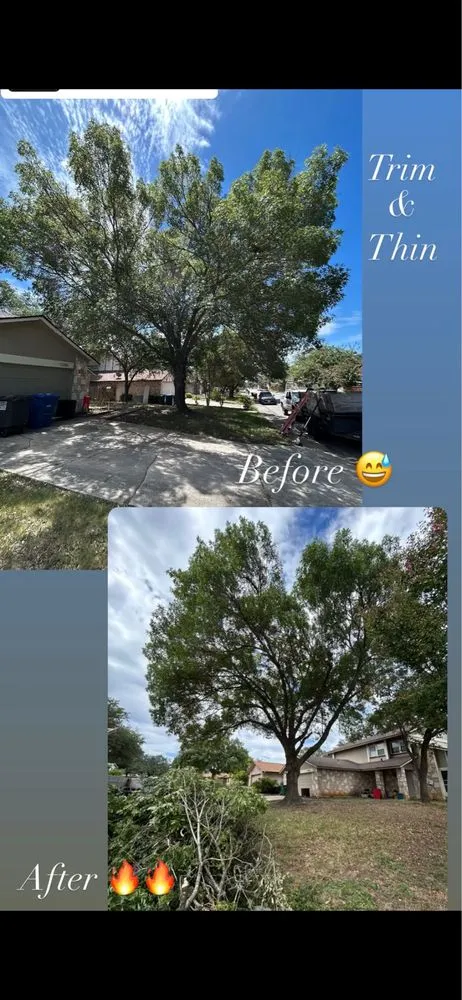 Professional outdoor landscaping in San Antonio, TX - Alamo City Landscaping & Lawn services