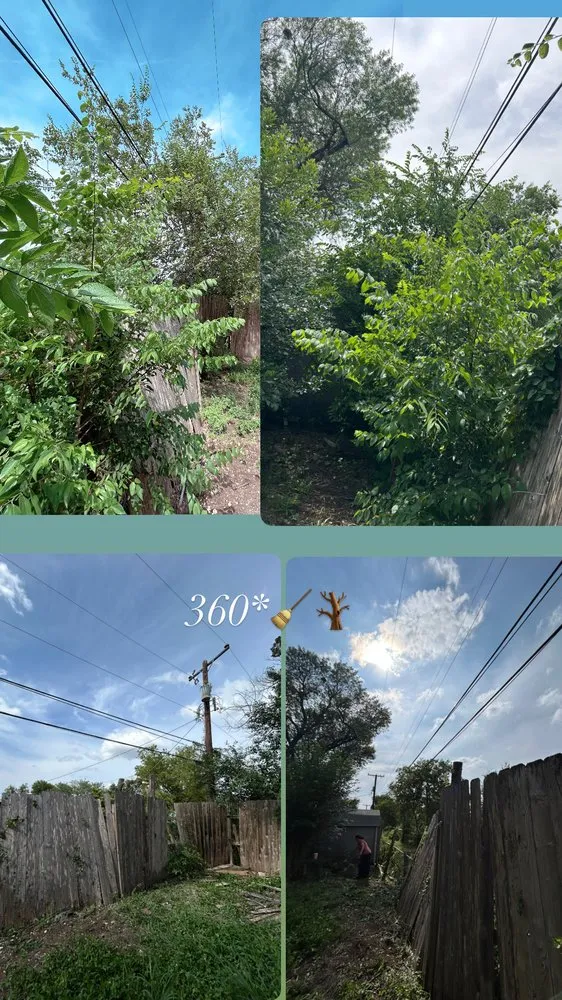 Local landscape design for year-round maintenance in San Antonio, TX by Alamo City Landscaping & Lawn services