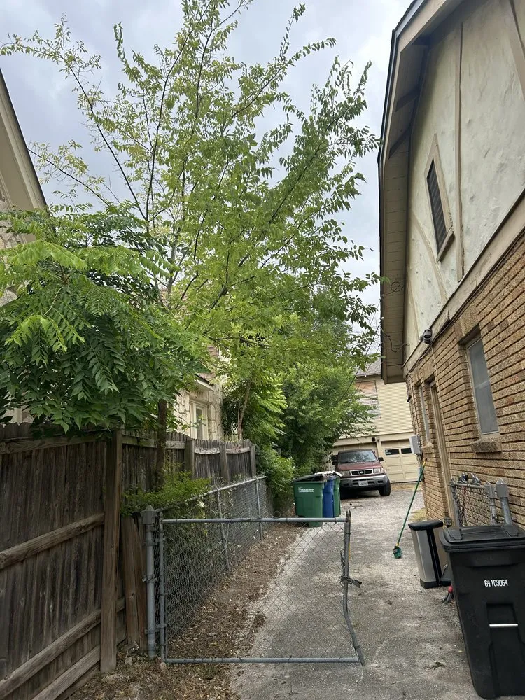 Local yard maintenance experts serving San Antonio, TX - Alamo City Landscaping & Lawn services