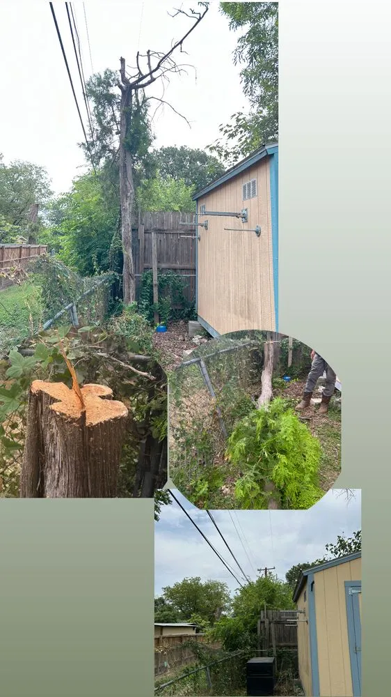 Affordable residential landscaping experts serving San Antonio, TX - Alamo City Landscaping & Lawn services