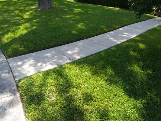 Alamo City Lawn Maintenance Logo