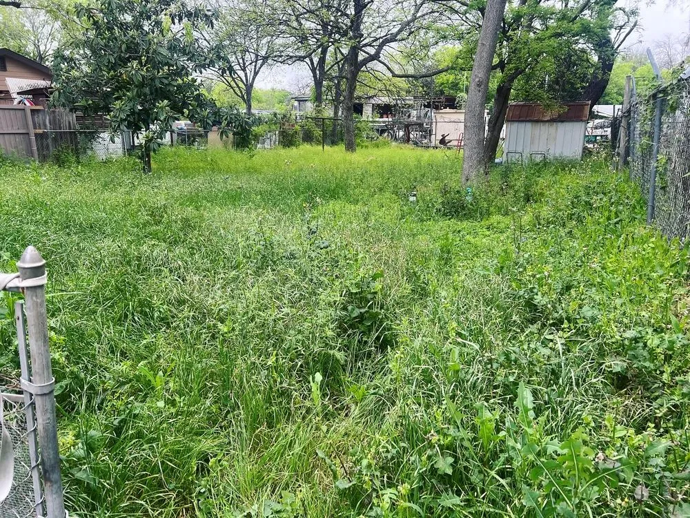 Custom garden landscaping experts serving San Antonio, TX - Alamo City Lawn Pro