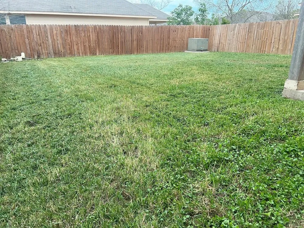 Professional lawn mowing service in San Antonio, TX by Alamo City Lawn Pro