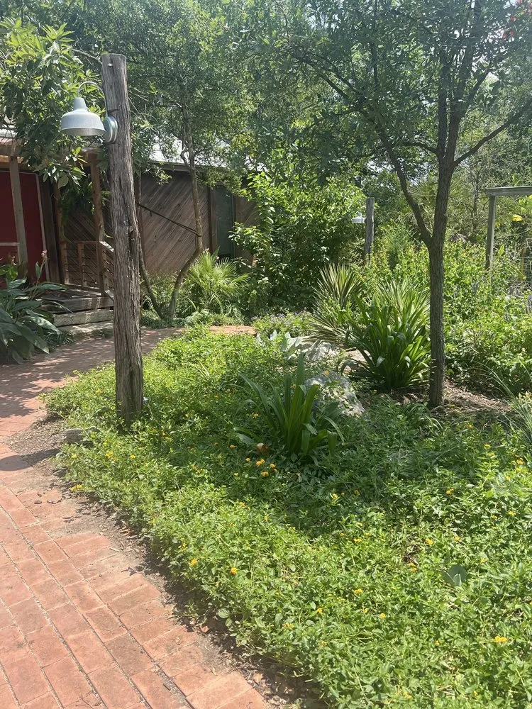 Custom landscaping services in San Antonio, TX - Alamo Green Scapes