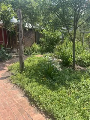 Alamo Green Scapes Logo