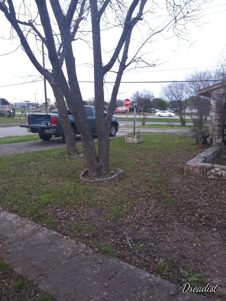 Affordable yard maintenance for year-round maintenance across Austin, TX - Alamo Grove Services