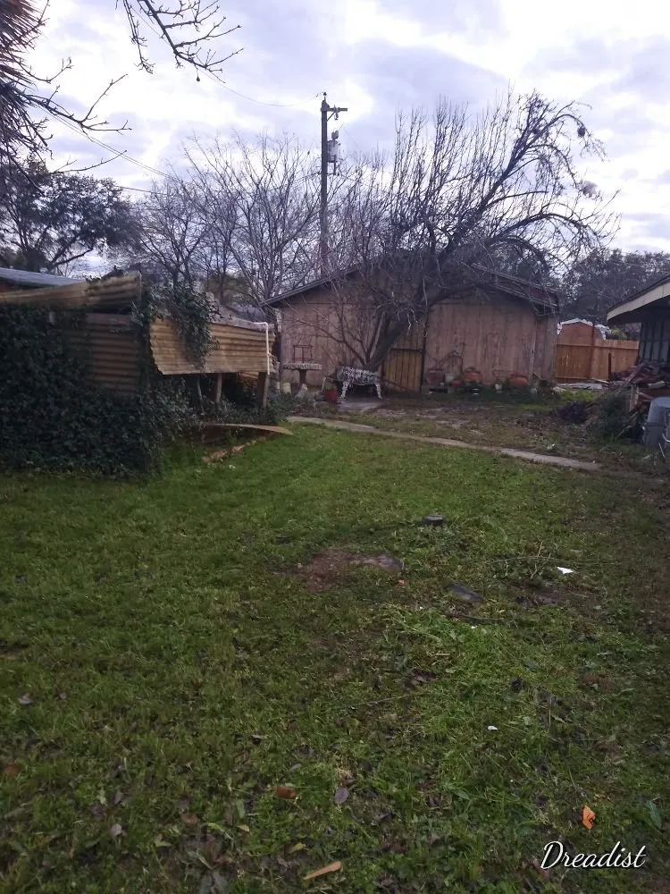 Reliable landscape design for homes across Austin, TX - Alamo Grove Services