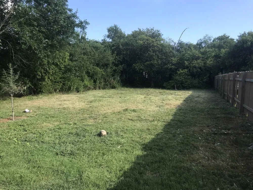 Top-rated lawn mowing service for residential properties across Austin, TX - Alamo Grove Services