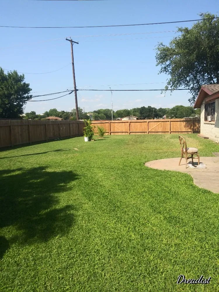 Professional landscape installation for outdoor upgrades across Austin, TX - Alamo Grove Services