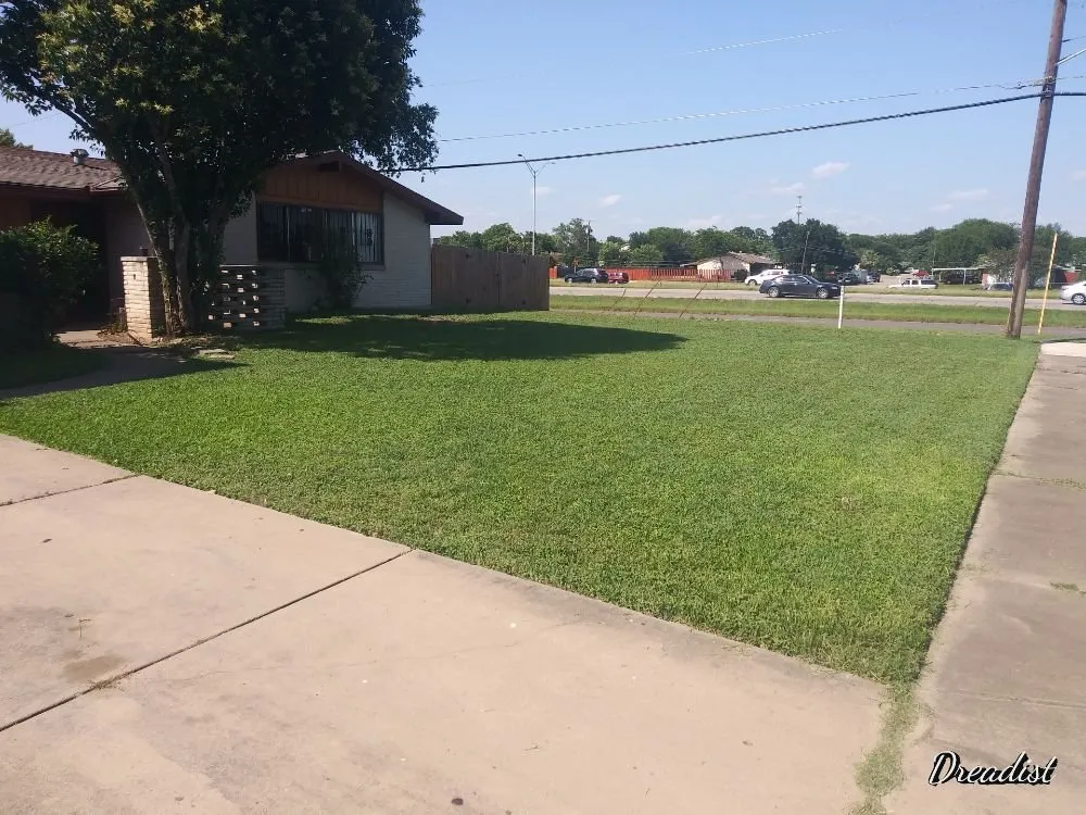 Local outdoor landscaping in Austin, TX by Alamo Grove Services