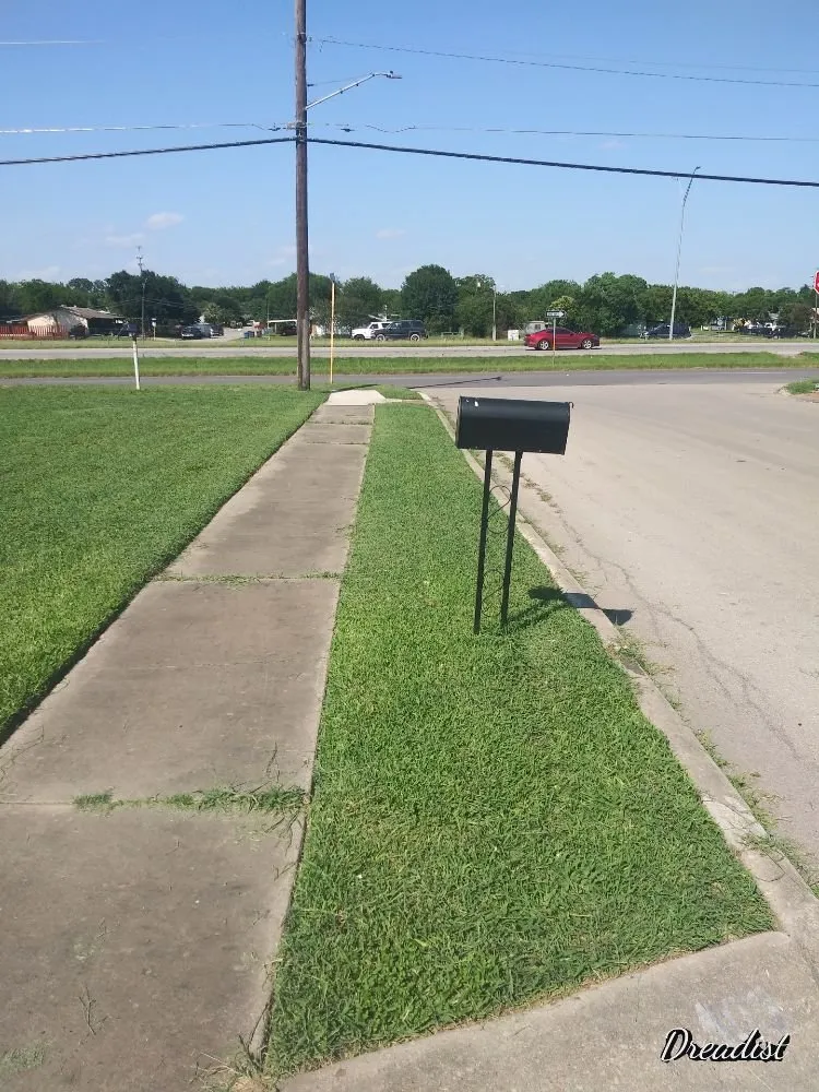 Professional landscaping services in Austin, TX by Alamo Grove Services