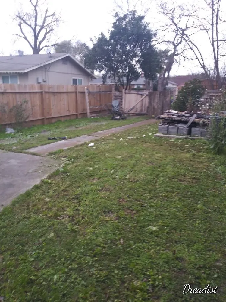 Professional garden landscaping in Austin, TX - Alamo Grove Services