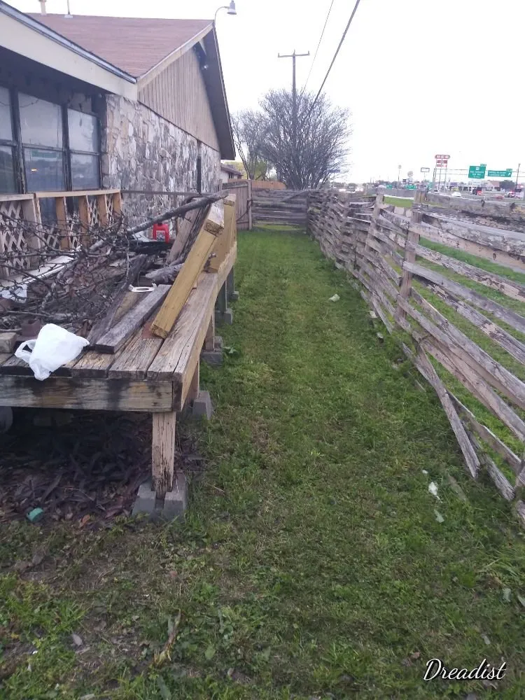 Expert landscape installation for year-round maintenance in Austin, TX by Alamo Grove Services