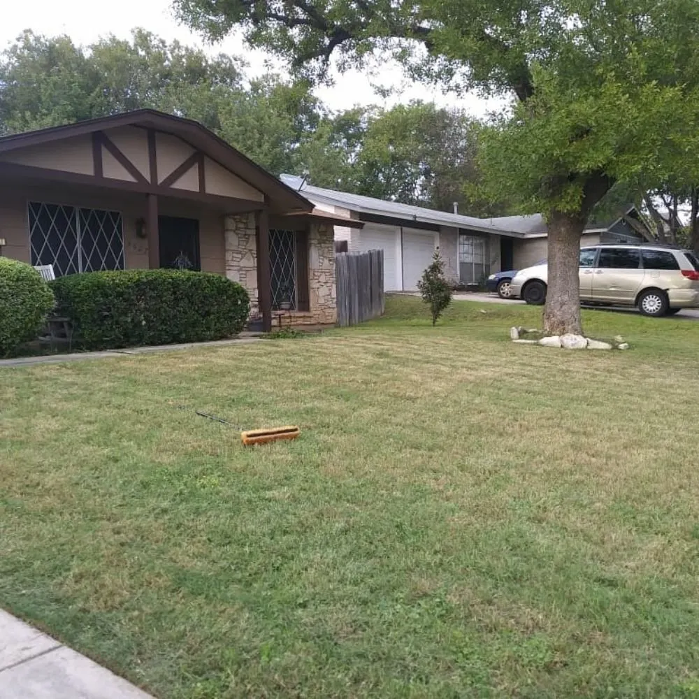 Expert outdoor landscaping in Austin, TX - Alamo Grove Services