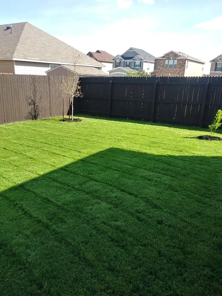 Trusted lawn care service in Austin, TX by Alamo Grove Services
