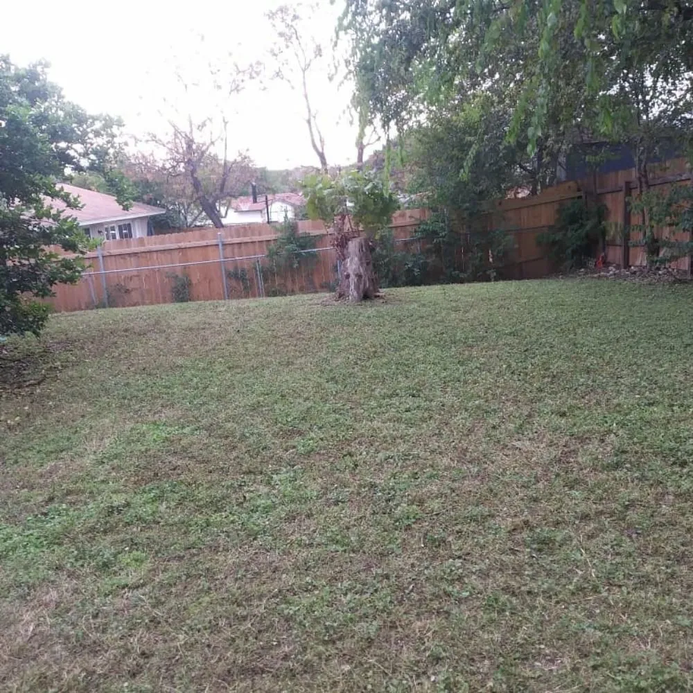 Trusted residential landscaping in Austin, TX - Alamo Grove Services