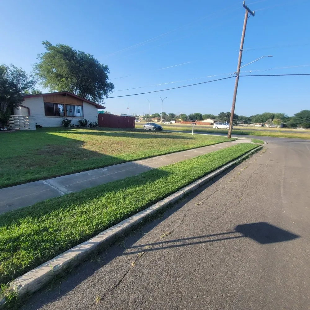 Reliable lawn mowing service experts serving Austin, TX - Alamo Grove Services