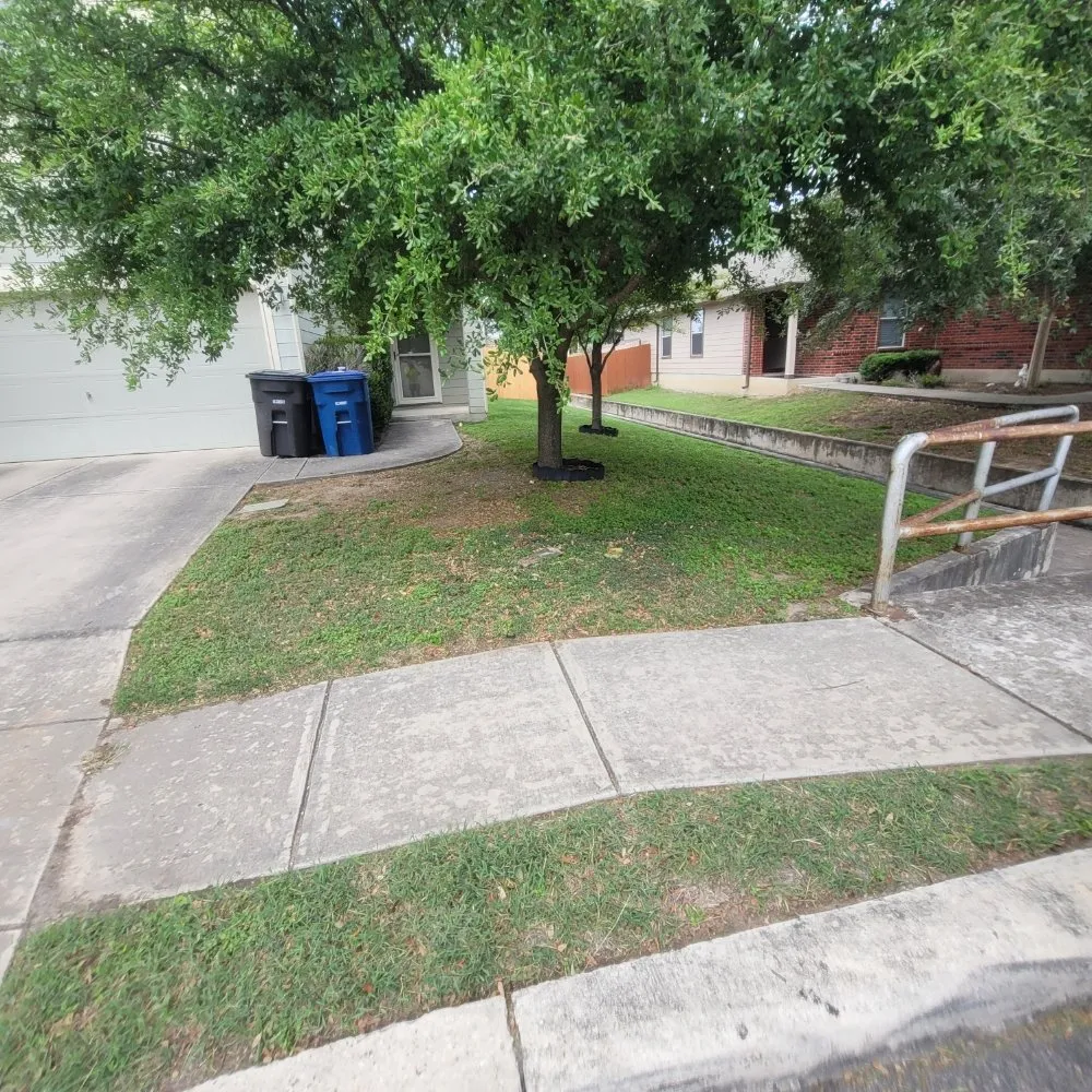 Professional yard maintenance in Austin, TX by Alamo Grove Services