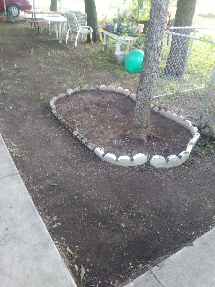 Top-rated lawn care service in Austin, TX - Alamo Grove Services