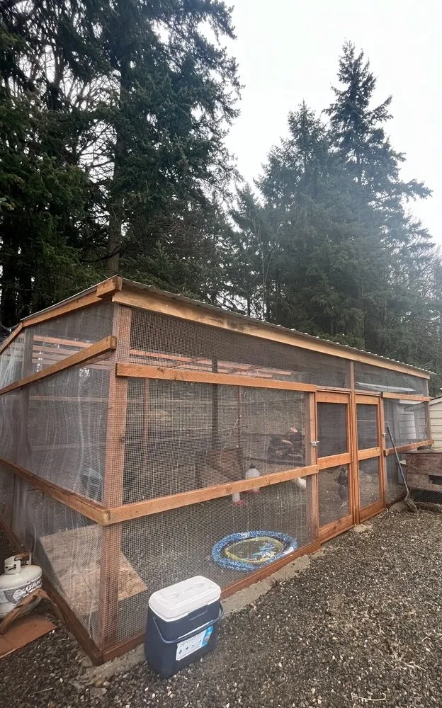 Reliable lawn mowing service for year-round maintenance across Lake Tapps, WA - Alamo Home Services