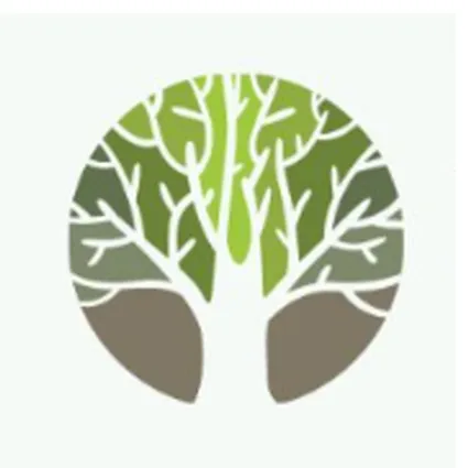 Trusted yard cleanup service in Louisburg, NC by Alamo Landscaping and Concrete