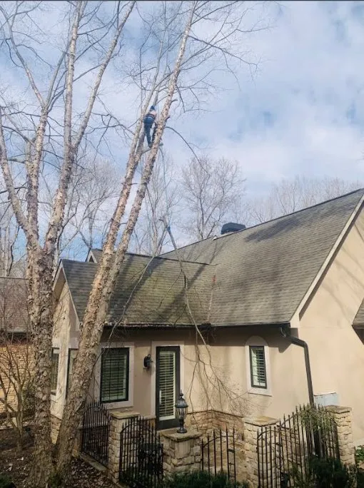 Custom outdoor landscaping in Hendersonville, NC by Alamo Lawn and Landscape