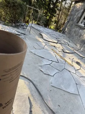 Alamo Lawn and Landscape Logo