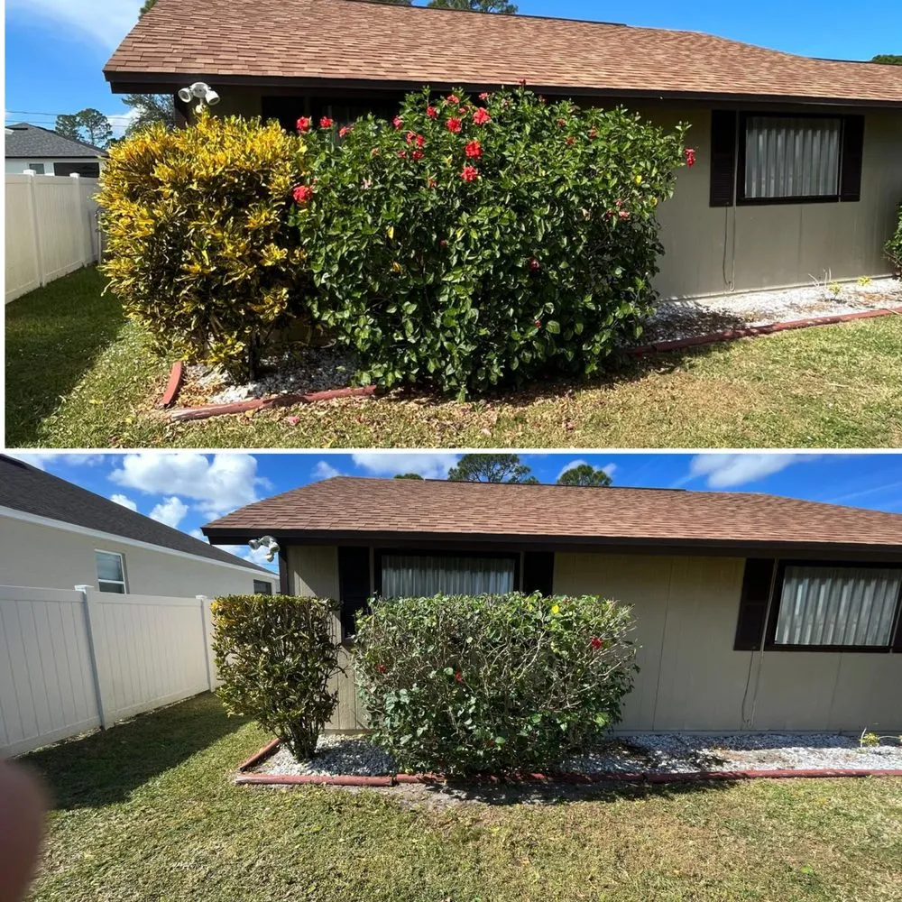 Affordable landscape installation in Palm Bay, FL by Alamo Lawn Care Services