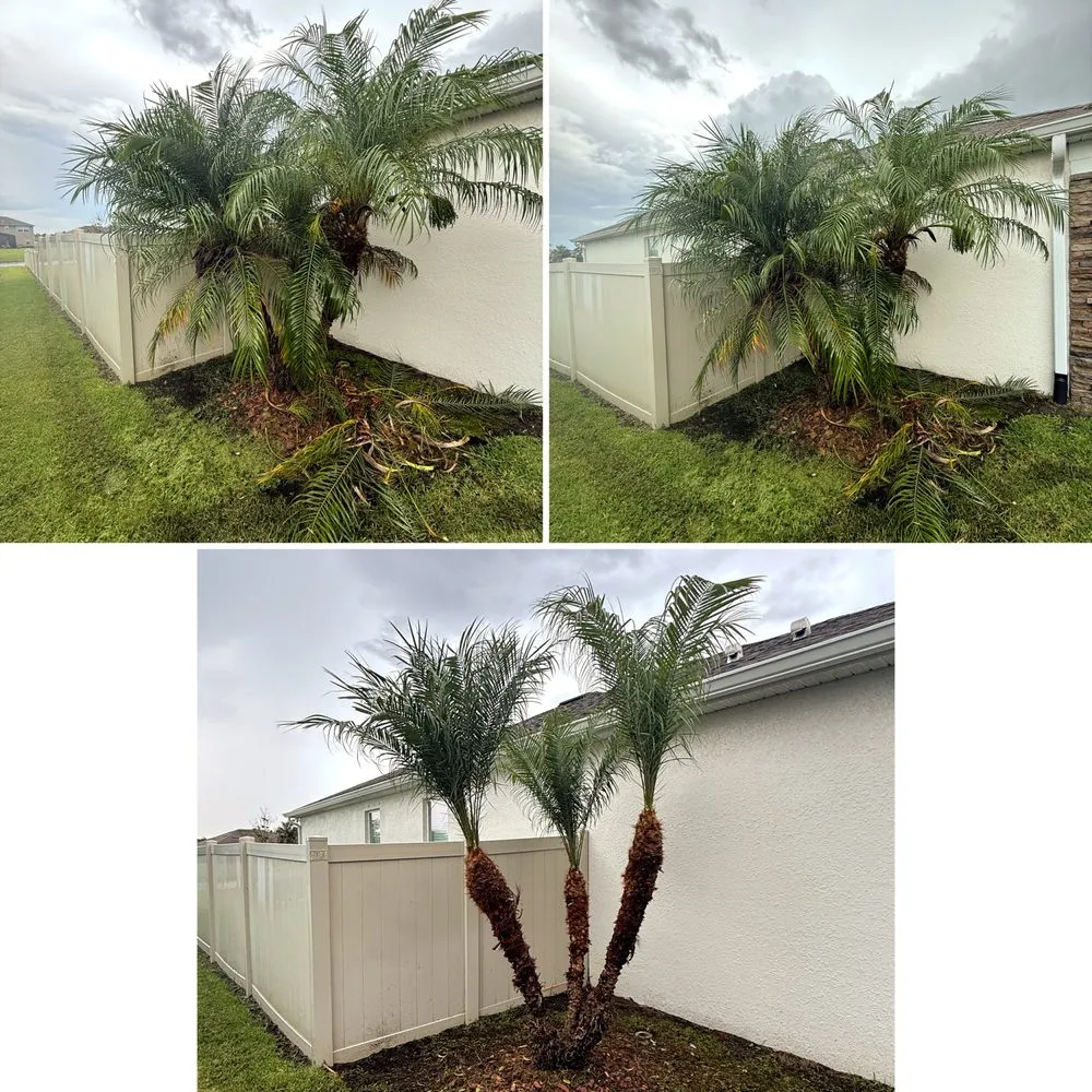 Custom yard maintenance for residential properties in Palm Bay, FL by Alamo Lawn Care Services