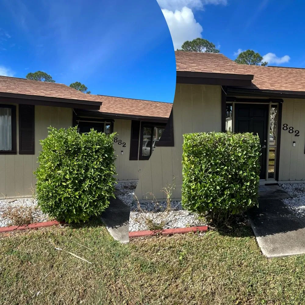 Top-rated yard maintenance experts serving Palm Bay, FL - Alamo Lawn Care Services