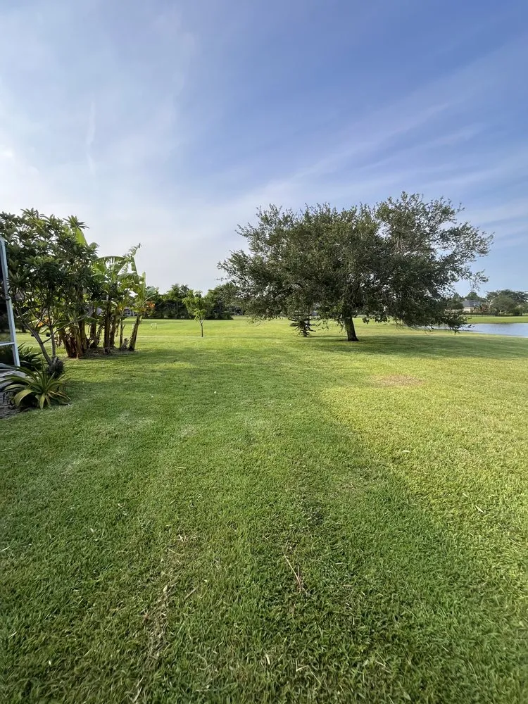 Trusted lawn mowing service in Palm Bay, FL by Alamo Lawn Care Services