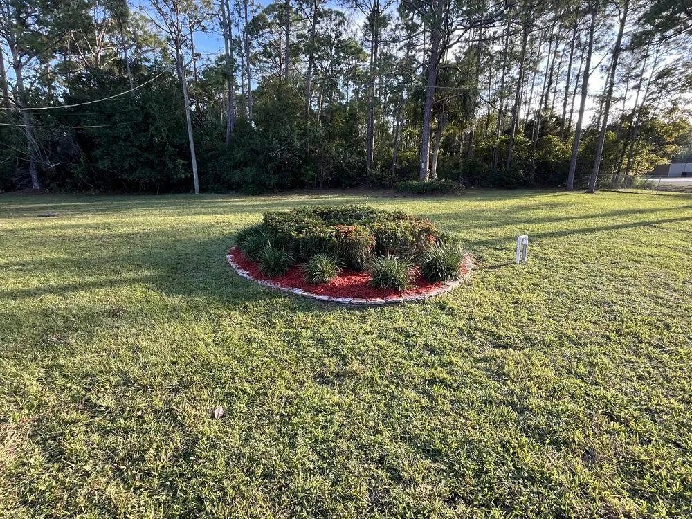 Custom landscape design near you in Palm Bay, FL by Alamo Lawn Care Services