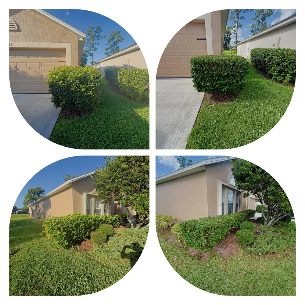 Custom landscape installation experts serving Palm Bay, FL - Alamo Lawn Care Services
