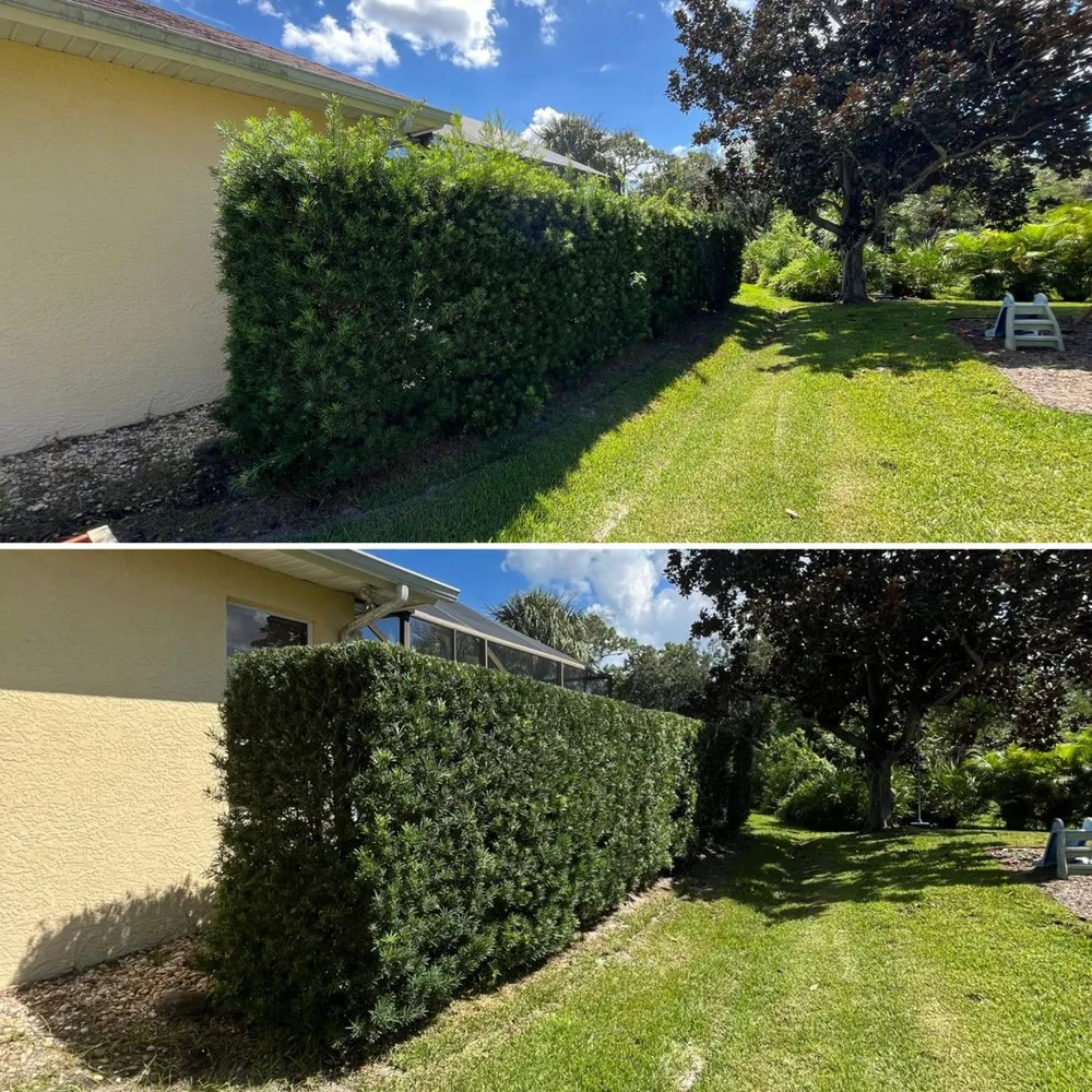 Local lawn mowing service for beautiful yards in Palm Bay, FL by Alamo Lawn Care Services