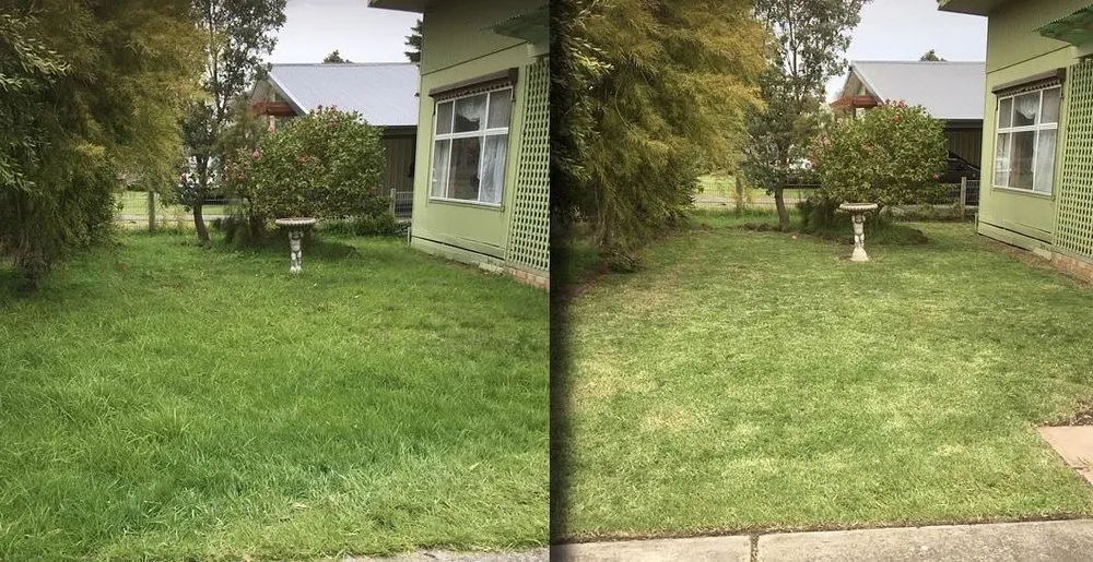 Local landscaping services for homes in Palm Bay, FL by Alamo Lawn Care Services