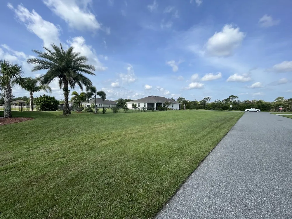 Affordable yard maintenance in Palm Bay, FL by Alamo Lawn Care Services