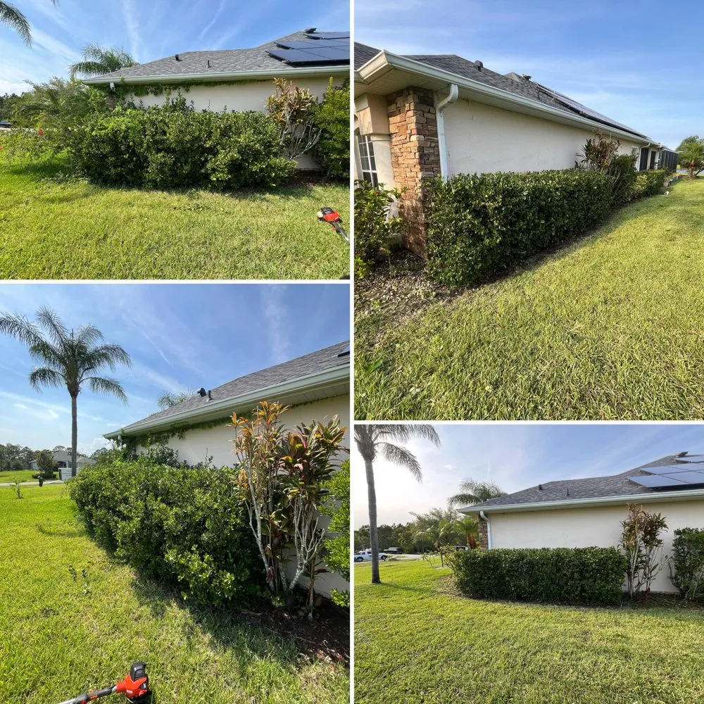 Professional yard maintenance experts serving Palm Bay, FL - Alamo Lawn Care Services