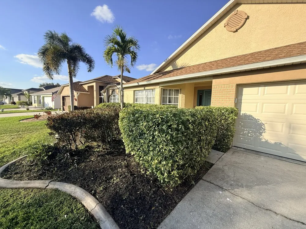Trusted yard cleanup service in Palm Bay, FL by Alamo Lawn Care Services