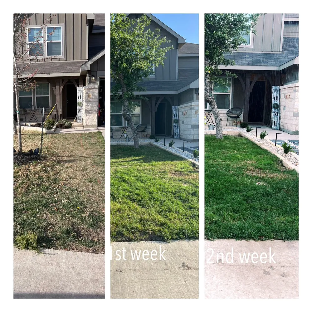 Reliable yard maintenance with custom design in San Antonio, TX by Alamo Lawn