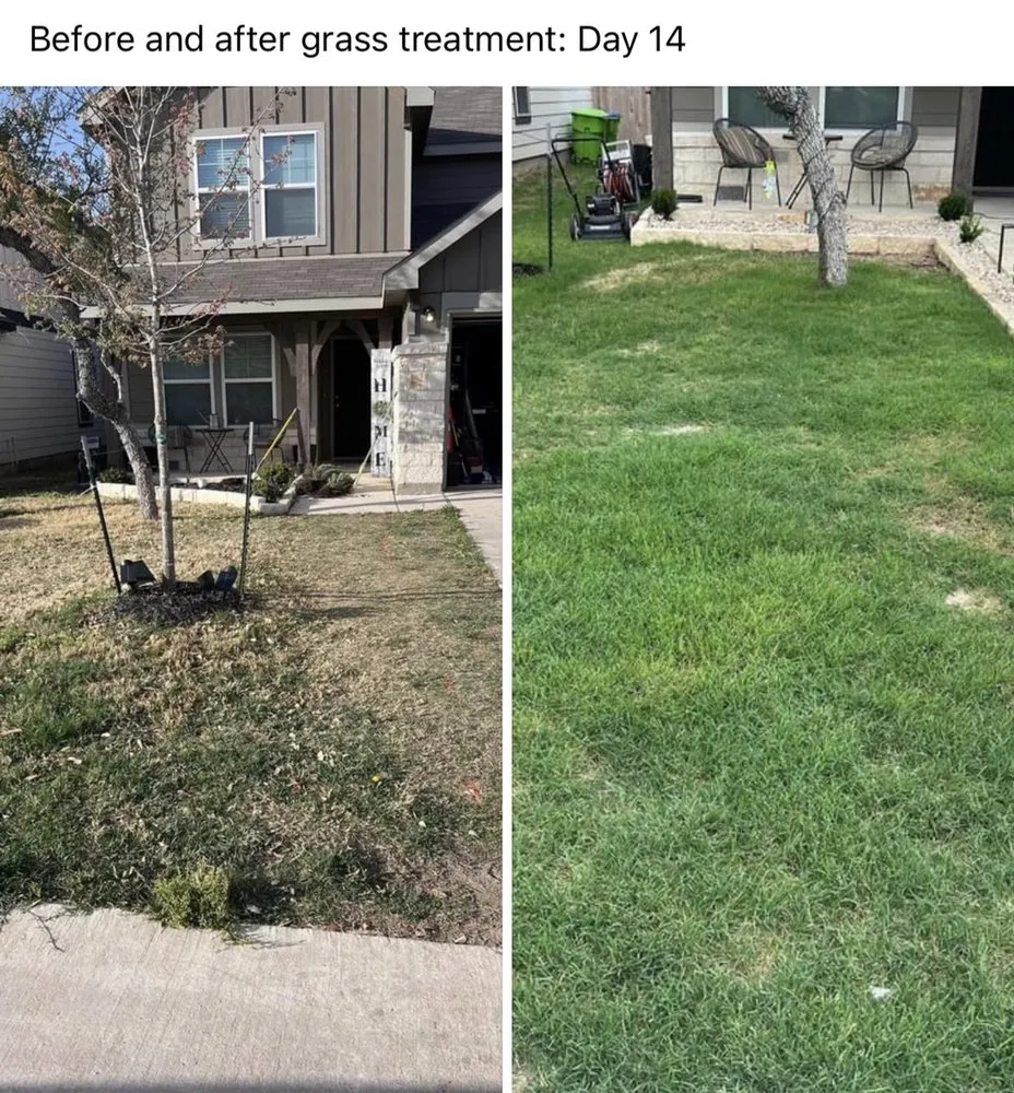 Custom landscaping services for year-round maintenance in San Antonio, TX by Alamo Lawn