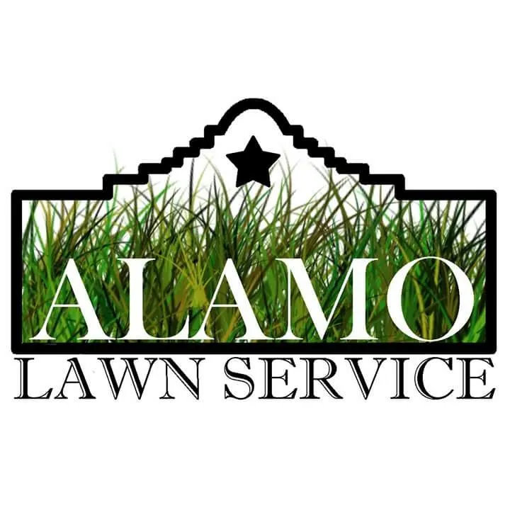 Affordable yard maintenance in San Antonio, TX by Alamo Lawn Service
