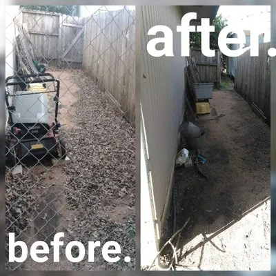 Alamo Lawn Service Logo