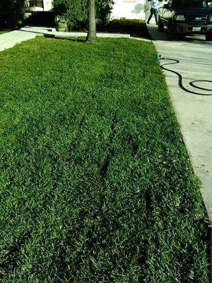 Local lawn mowing service experts serving FAIR OAKS, TX - Alamo Lawncare and Landscaping