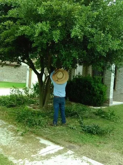 Professional landscaping services experts serving FAIR OAKS, TX - Alamo Lawncare and Landscaping