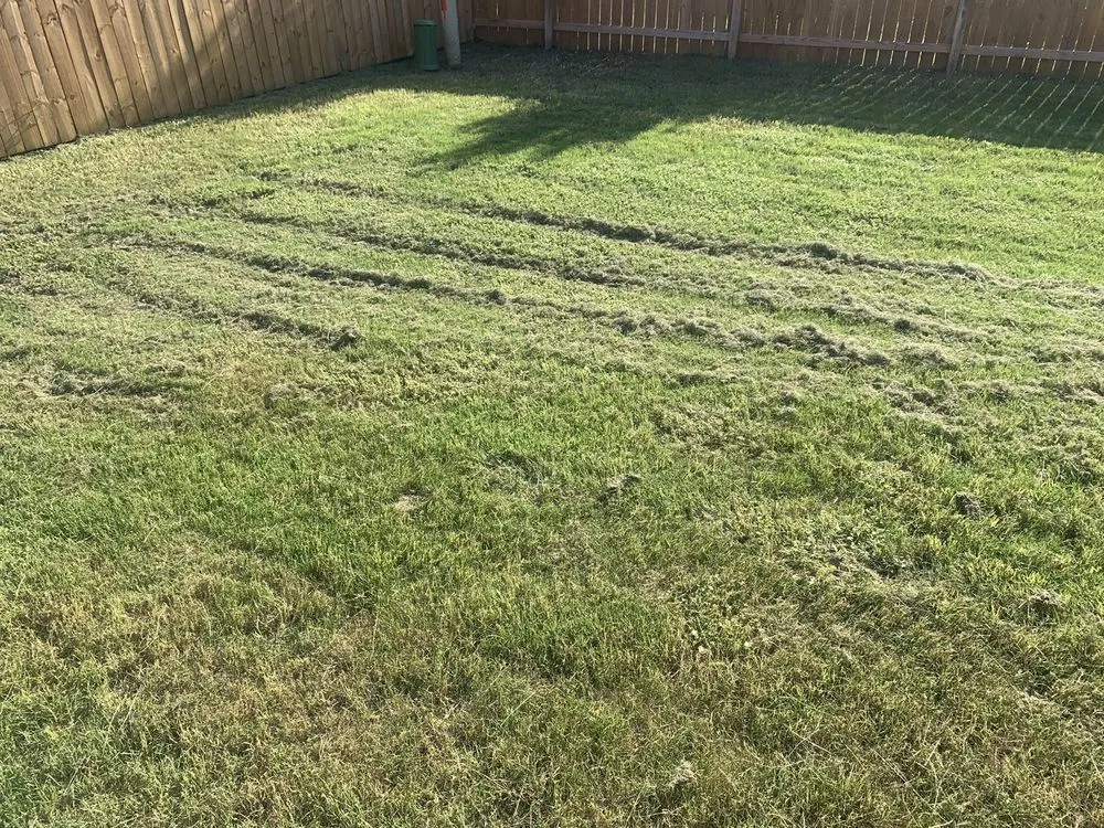 Affordable landscape design for residential properties across San Antonio, TX - Alamo Mowing